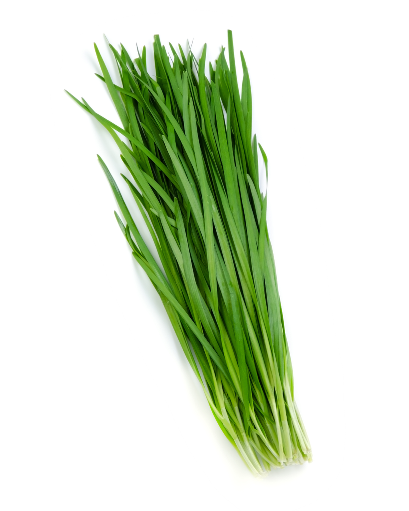 Ciboulette Ramo 50 grs