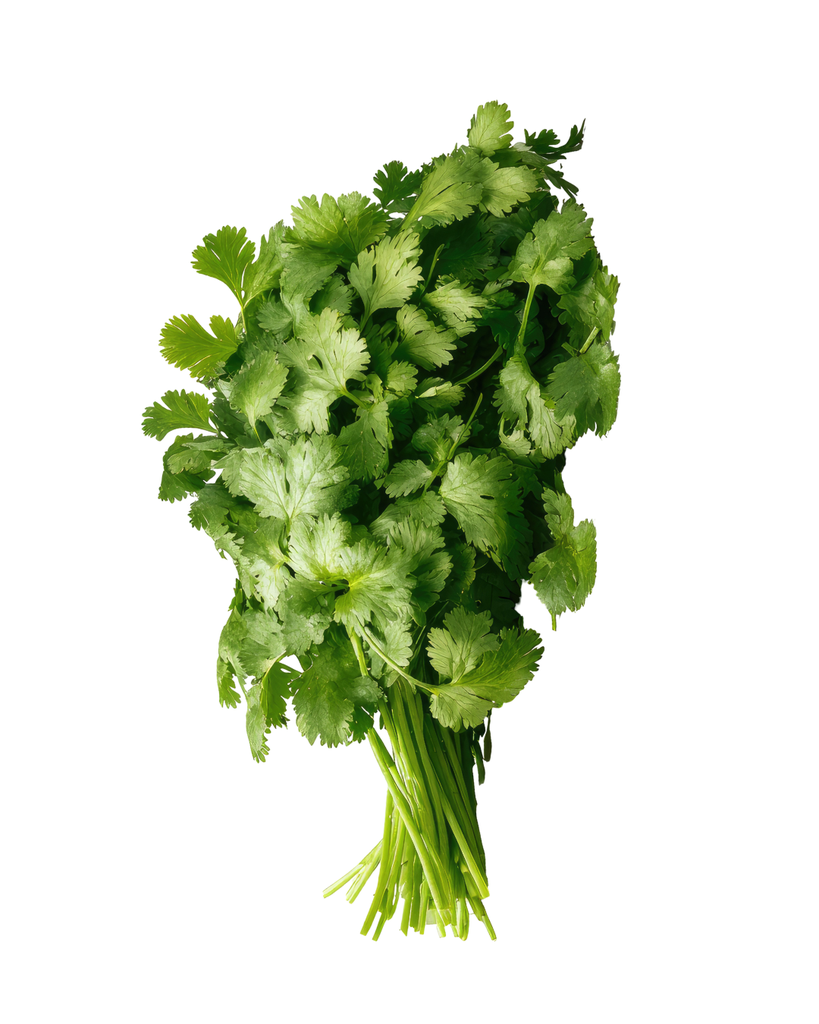 Cilantro Ramo 100 g