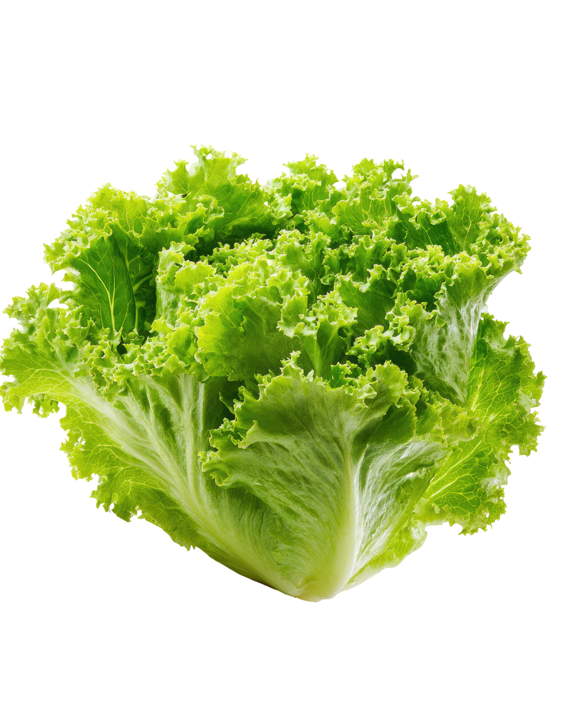 Lechuga 250 grs