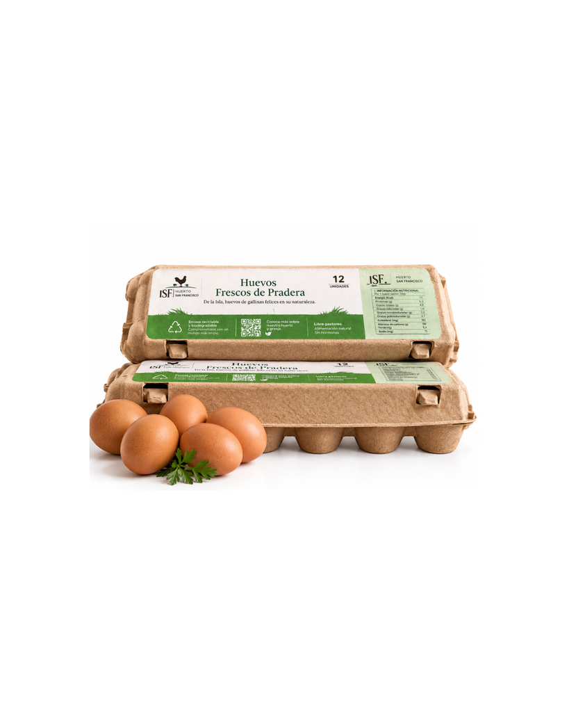 Huevos de gallinas de libre pastoreo | 12 unidades