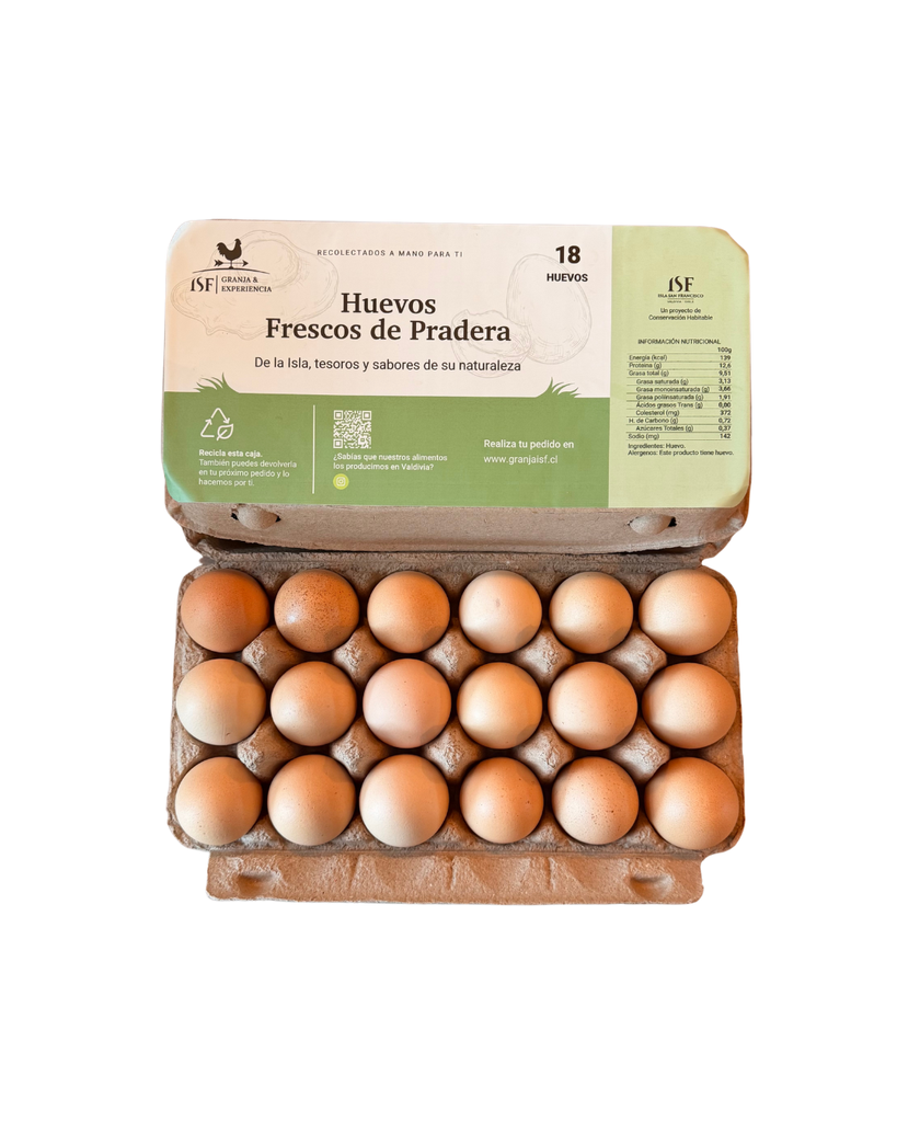 Huevos de gallinas de libre pastoreo | 18 unidades