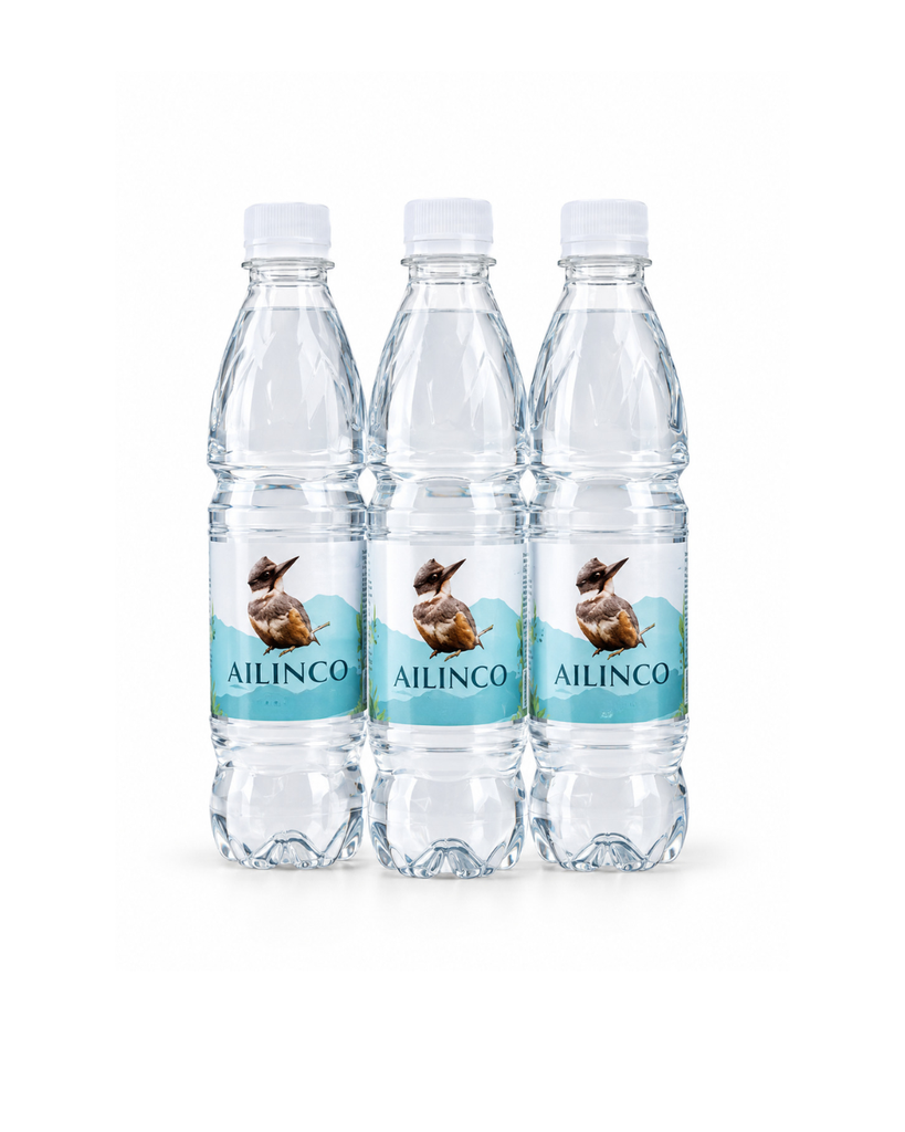 Agua Ailinco s/g 500cc